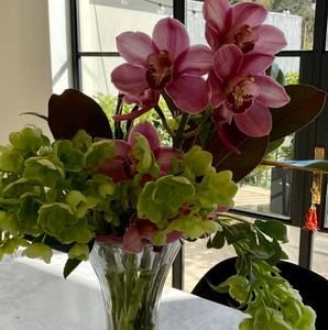 Meet your Posher, Catherine